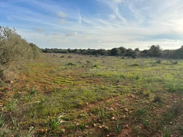 SUELO RÚSTICO PARA CONSTRUIR, SES SALINES - foto 2
