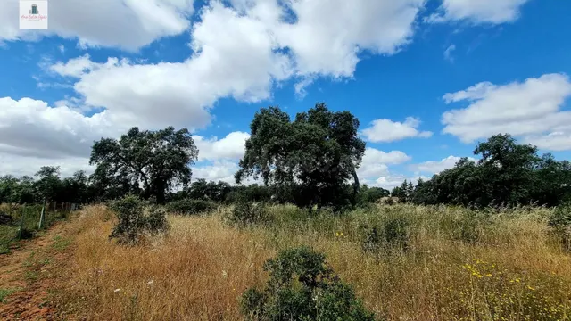 Terreno de 5000 m2 en urbanización Tres Arroyos, Badajoz - foto 5