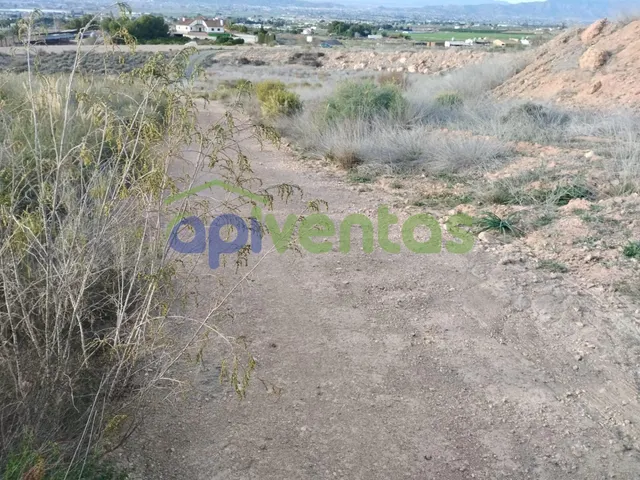 Terreno en el Alto  Purias — 6