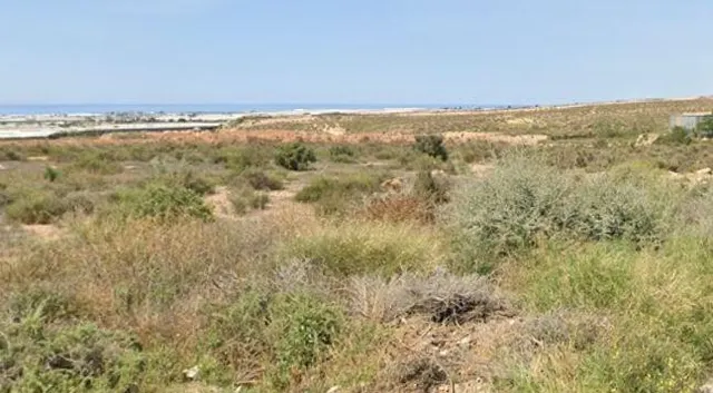 VENTA TERRENO EN PARAJE DEL CERRO GORDO AUTOVIA E-15 KM 455 VIATOR VENT — 5
