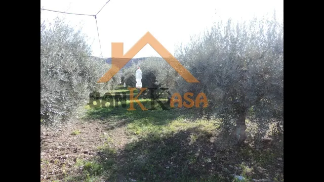 SE VENDE TERRERENO RURAL EN BERJA CON CORTIJO — 10