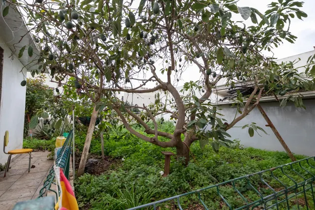 CASA EN EL CENTRO DE SANTA URSULA — 18