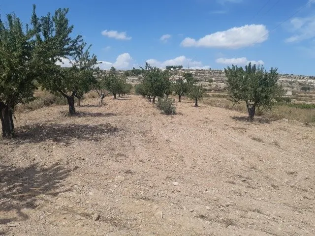 Se vende terreno de 16000 metros — 8