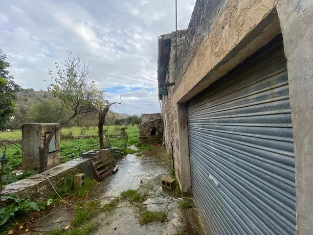 Finca rústica con caseta y 6000m2 para tus proyectos de campo — 19