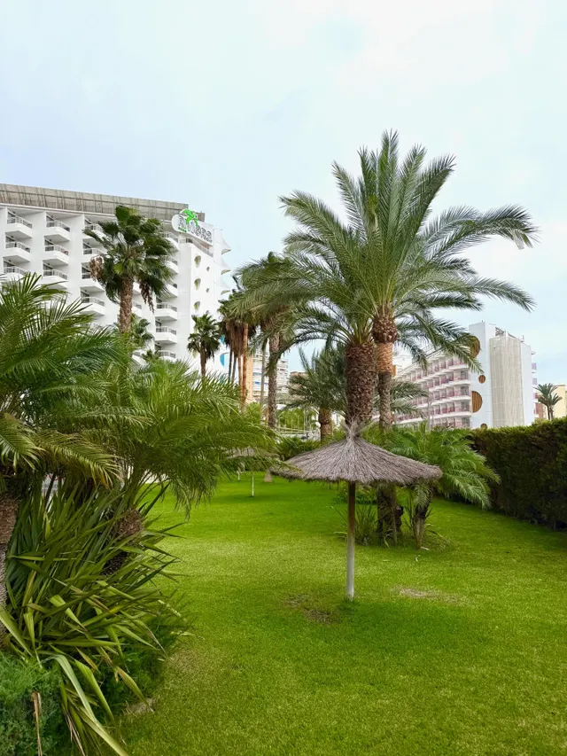 Apartamento en Benidorm con vistas panorámicas, gran terraza acristalada y urbanización con piscinas — 17