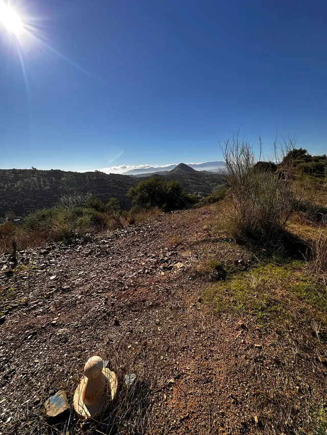 Parcela en venta - Sotogrande - Alto — 7
