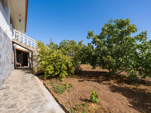 Finca rústica con amplia vivienda y azotea en Las Mejías – Ingenio, Gran Canaria — 23