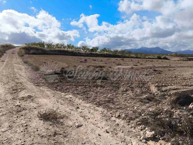 Suelo rústico en Venta en Jumilla Murcia — 3