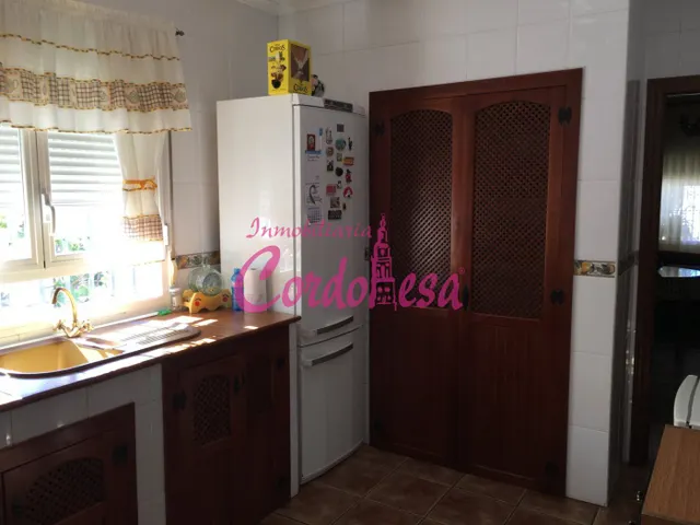 MAGNIFICO CASA CON TERRRENO EN ALCOLEA!! — 8