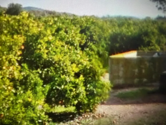 Terreno rústico con caseta - l’Hostalet, Traiguera - Castell - foto 4
