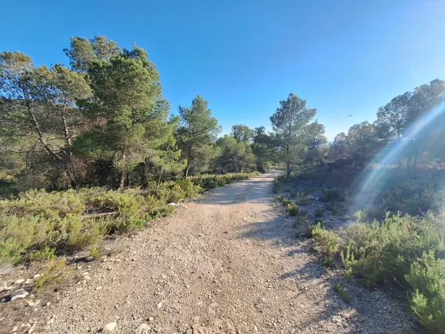 Terreno rústico a solo 3 km de Biar | Posibilidad de construir vivienda y conectar a agua y electricidad — 4