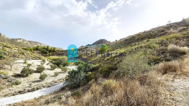TERRENO RUSTICO CON CASA EN RUINA PARA REFORMAR — 17