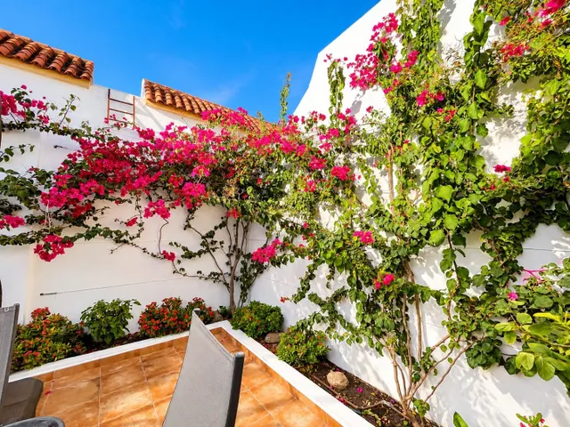 Casa de una sola planta con patio y azotea en Calle San Miguel – Alcalá de los Gazules — 11