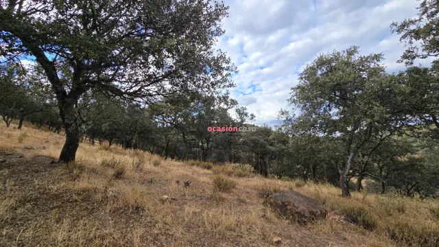 FINCA RUSTICA CON VIVIENDA — 5