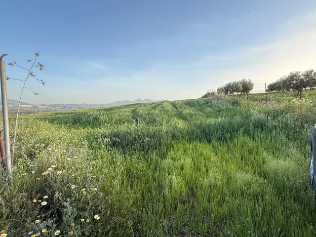 TERRENO RURAL EN VENTA — 8