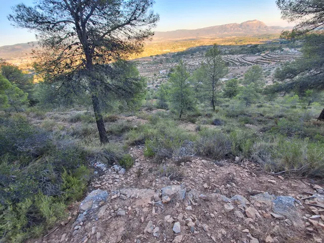 Finca rústica forestal en venta con vistas panoramicas · Castalla (Alicante) — 7