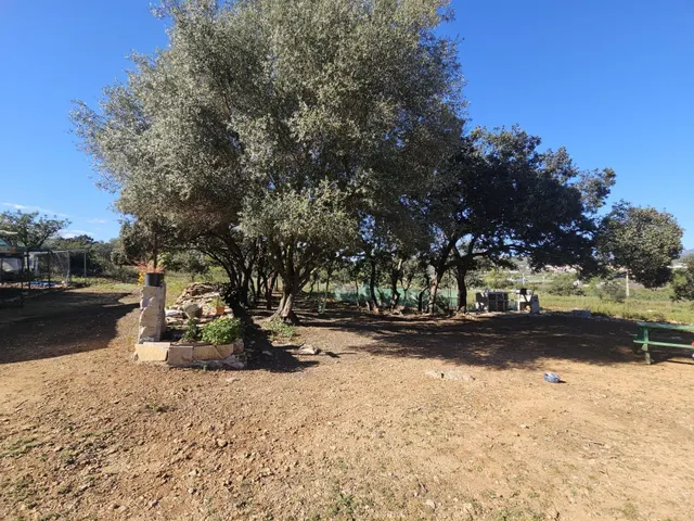 Terreno para recreo vallado y con acceso por camino asfaltado — 19