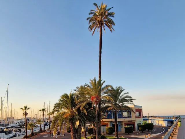 Apartamento 2 habitaciones 97m² en venta - Club Nautico — 47