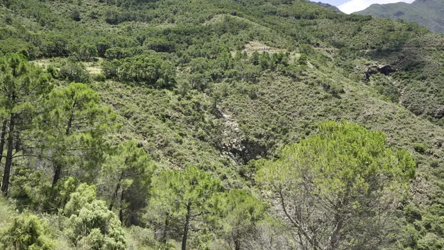 Parcela en venta - South of spain — 17