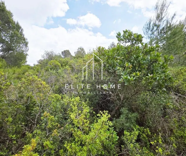 FINCA CON GRAN POTENCIAL JUNTO A CERVERA DEL MAESTRE - foto 3