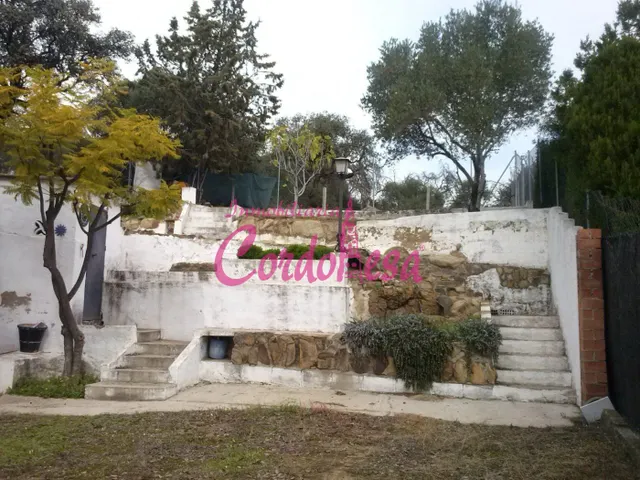 MAGNÍFICO TERRENO URBANO EN ALCOLEA — 5