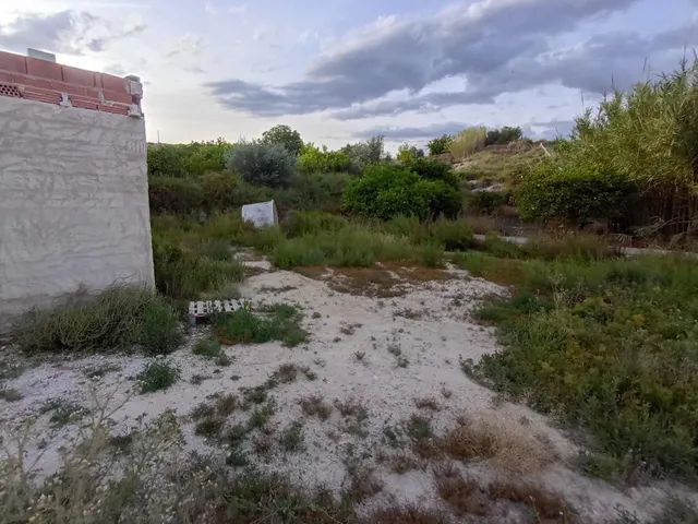Terreno en la Algaida Archena — 20