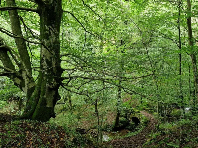 Cabaña Pasiega junto al rio Bustantegua