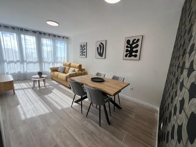 PISO TOTALMENTE REFORMADO EN EL CENTRO DE ALMERIA - foto 5