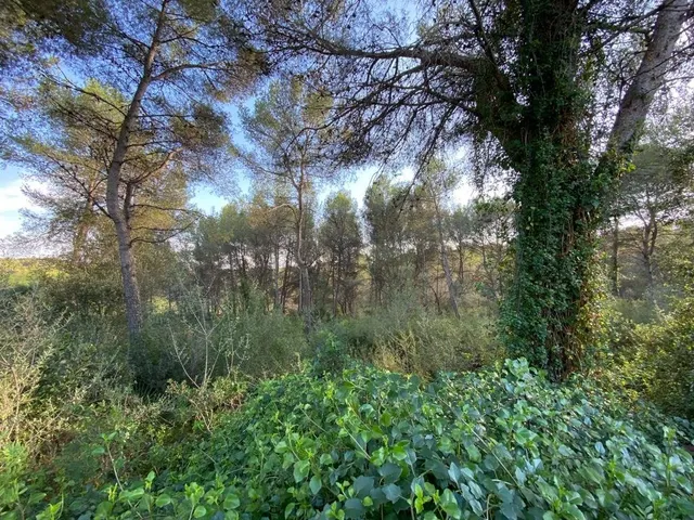 OPORTUNIDAD ENORME TERRENO EN VENTA POR 150.000€ — 20