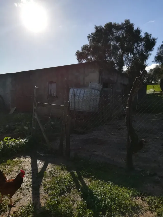 Casa de campo entorno rústico — 7