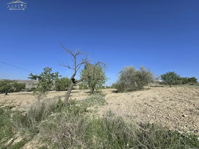 Terreno en Aspe - foto 3