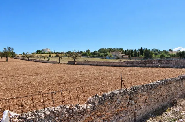 Finca rústica con posibilidad de vivienda en Ariany — 6