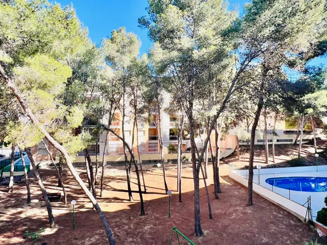 Piso con licencia turística y parking a pie de la playa!! - foto 4