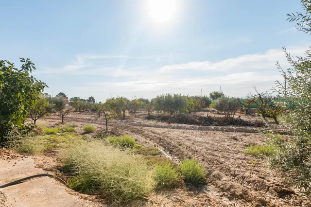 Finca rústica 4.180m2 de parcela con casa y piscina en las peñas (Fortuna) — 43