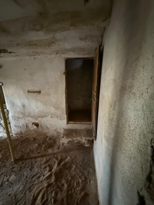 GRAN FINCA CON CASA PARA REFORMAR!!! — 7