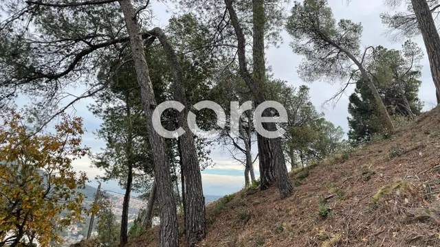 Parcela urbanizable en Sant Feliu — 6