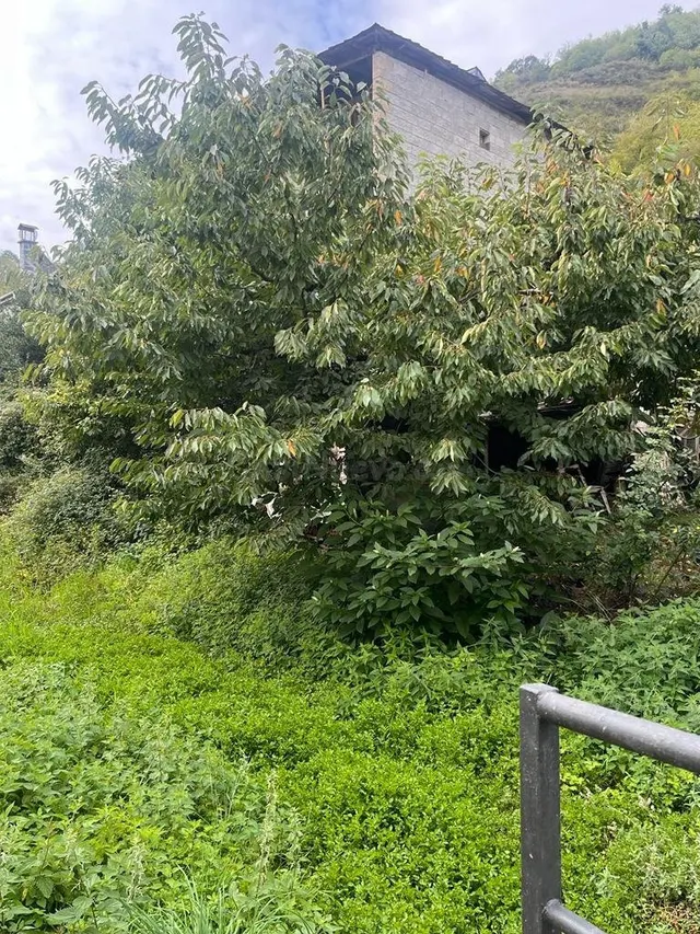 SE VENDE CASA EN CONSTRUCCIÓN  EN VILLANUEVA DE VALDUEZA — 3