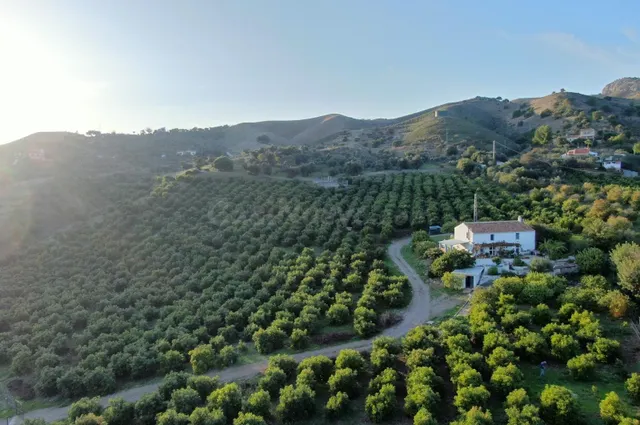 Fincas de Regadío en ÁLORA