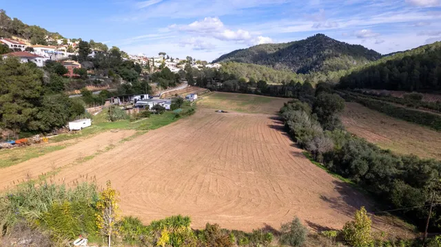 Finca Rústica de 20.000m2 con vivienda en venta. — 9