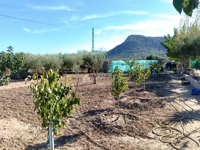 SE VENDE CHALET EN BUEN ESTADO EN ASPE ZONA CARRETERA DE LA ROMANA — 24