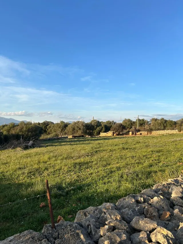 FINCA RÚSTICA EN SINEU