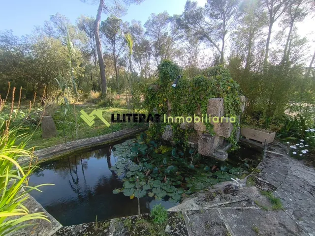 Finca en Algaida con gran piscina y pista de tenis privada b - foto 5