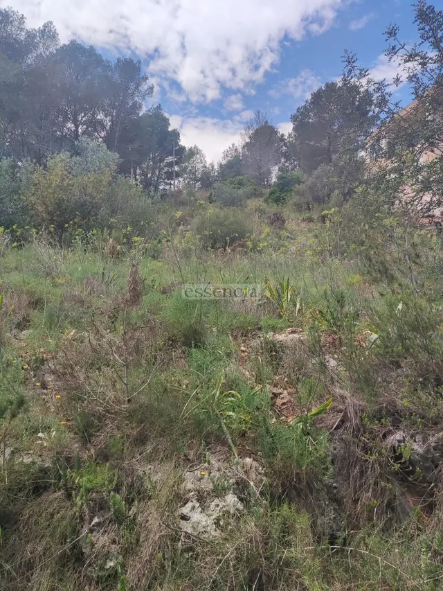 Terreno Urbano Urb. La Serreta — 7