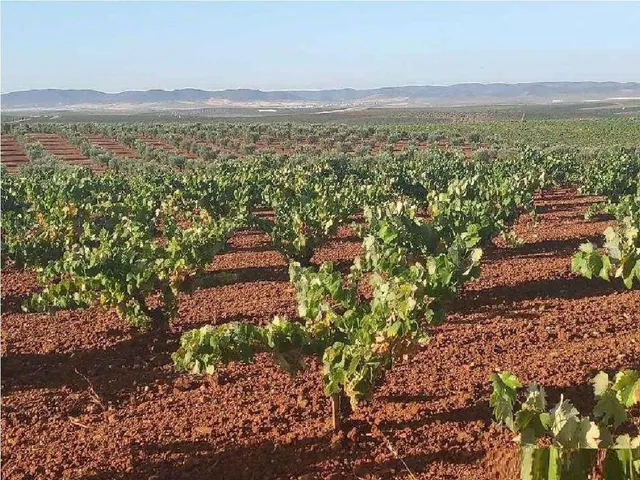 Terreno rústico en venta en valdelasierpe — 5