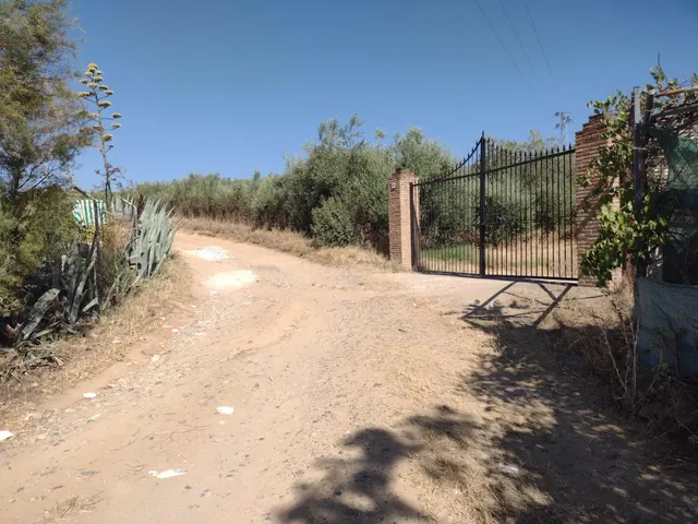 MAGNIFICA PARCELA DE CASI DOS HECTAREAS, CON CHALET Y PISCIN - foto 2