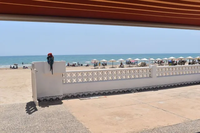 Villa 6 habitaciones 199m² en venta - El Edén - Los Estaños — 26