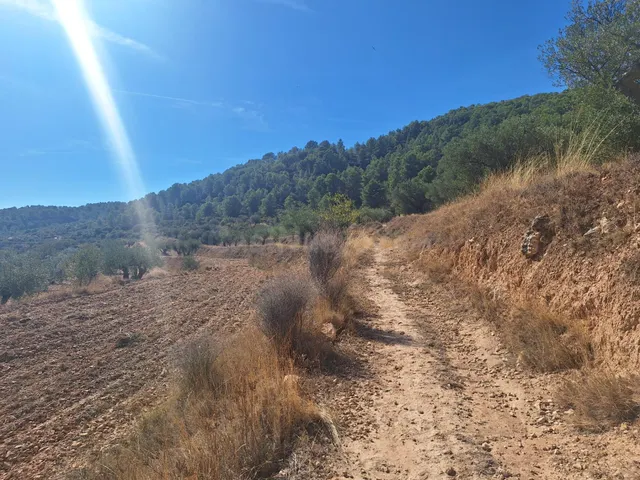 Finca rústica con olivos, almendros y vistas al castillo, a 3 km de Castalla — 10.000 € — 5