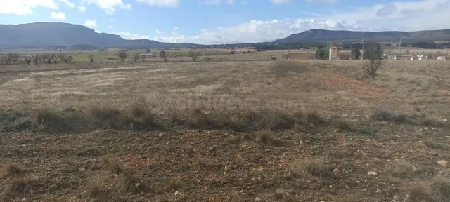 TERRENO EN CASAS DE MADRONA