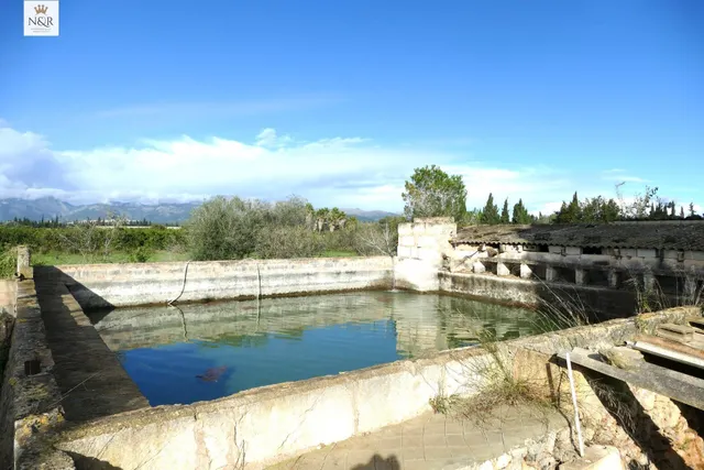 FINCA RÚSTICA CON LUZ ELÉCTRICA Y AGUA EN LLUBÍ - foto 4