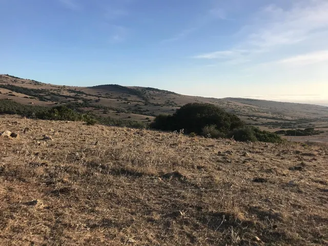 Se vende parcela en Bolonia — 5